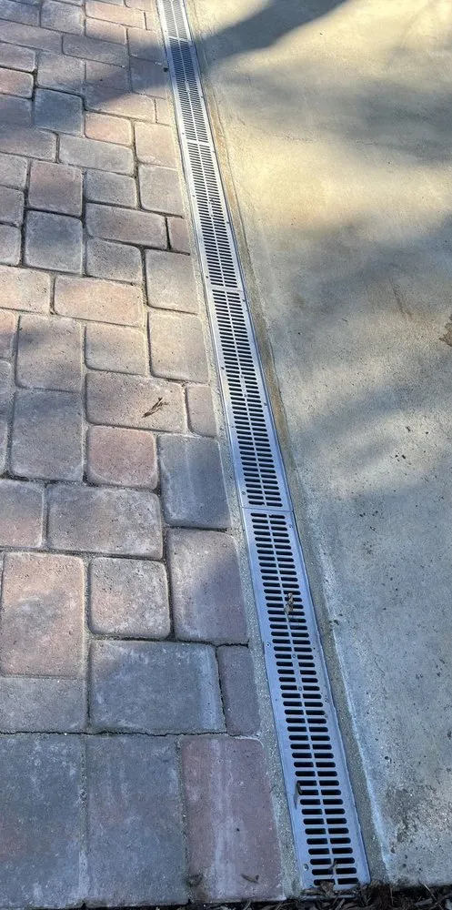 Trusted yard cleanup service in Vista, CA - Mr. Martinez Landscaping