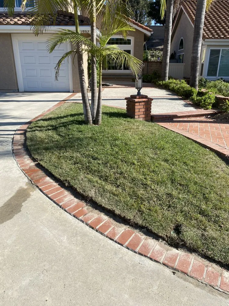 Reliable landscaping services in Vista, CA by Mr. Martinez Landscaping