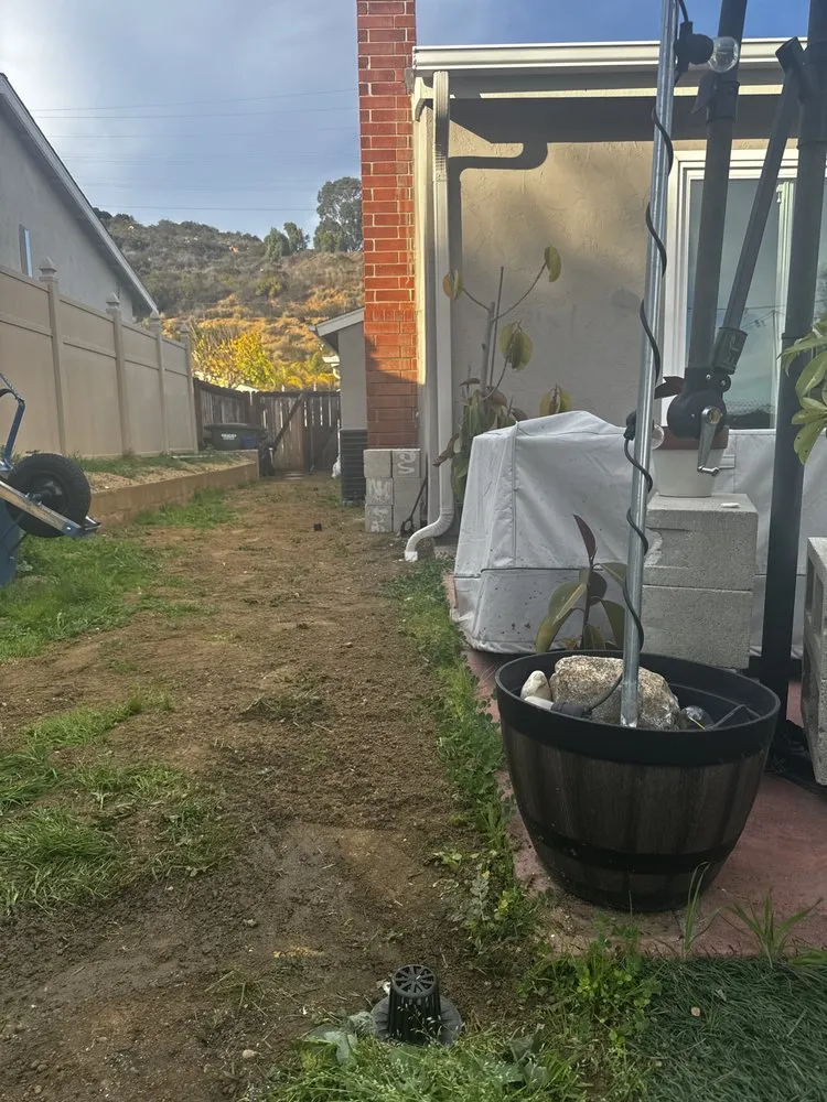 Reliable yard maintenance in Vista, CA by Mr. Martinez Landscaping