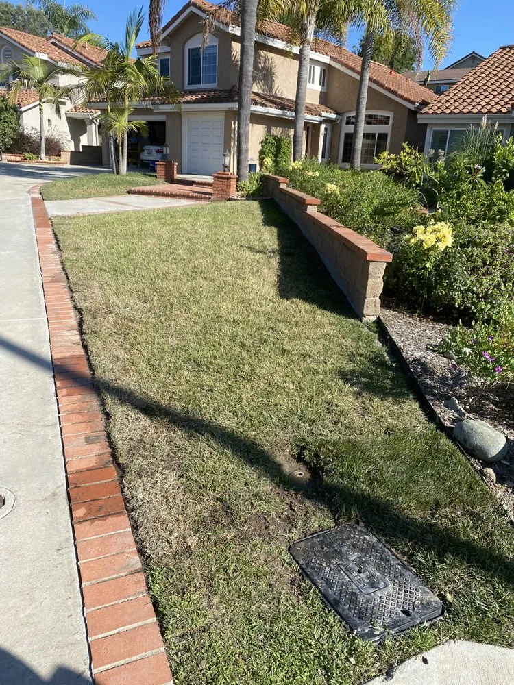 Local landscape design for year-round maintenance in Vista, CA by Mr. Martinez Landscaping