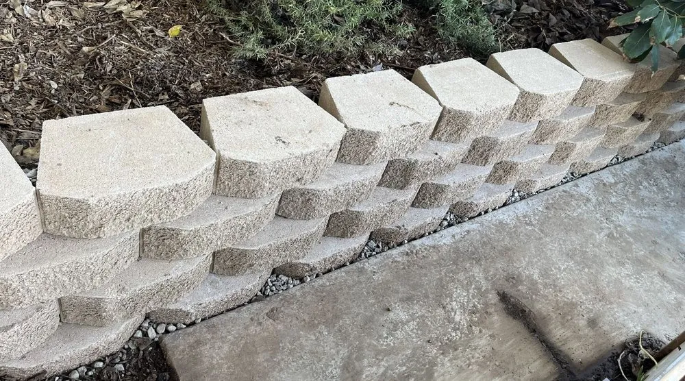 Top-rated yard cleanup service in Vista, CA - Mr. Martinez Landscaping