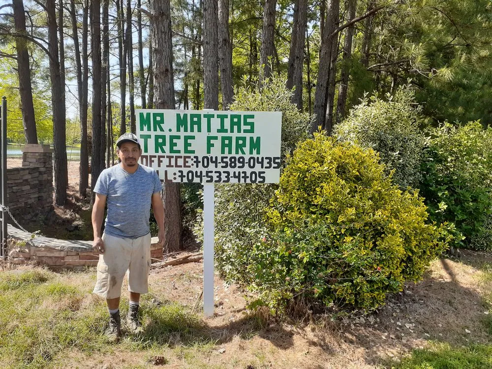 Professional yard maintenance for year-round maintenance in Charlotte, NC by Mr Martini's Tree Farm