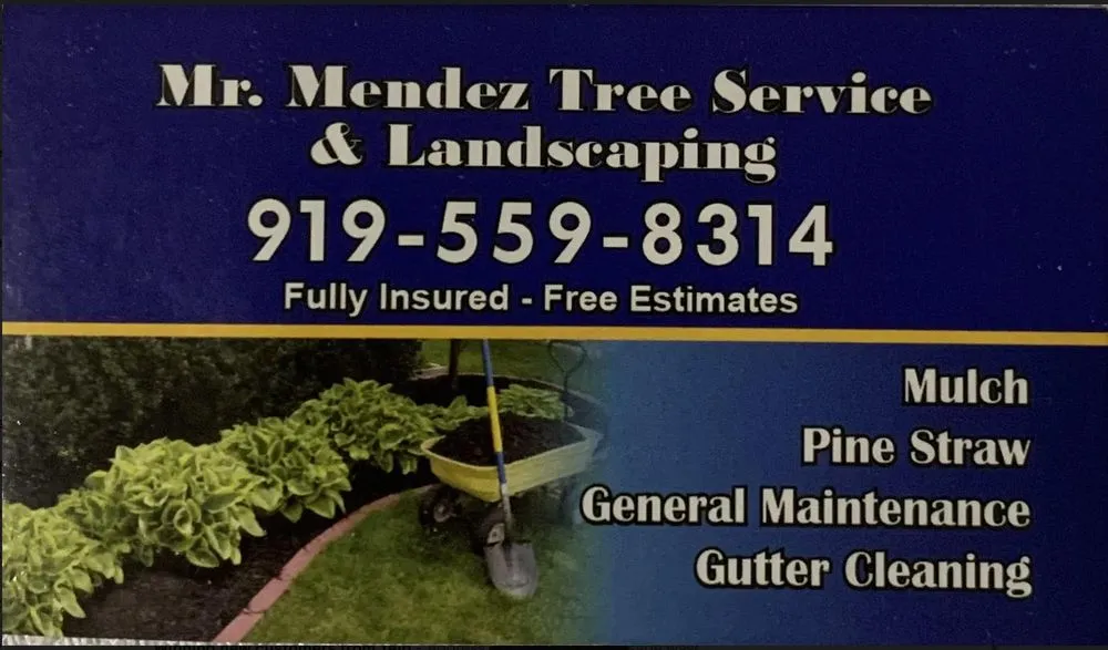 Custom residential landscaping in Raleigh, NC by Mr Mendez Tree Service