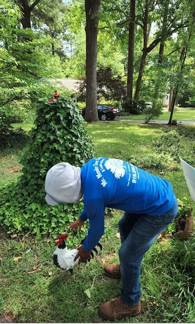 Affordable garden landscaping for homes in Raleigh, NC by Mr Mendez Tree Service