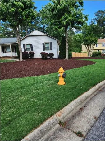 Affordable lawn care service experts serving Raleigh, NC - Mr Mendez Tree Service