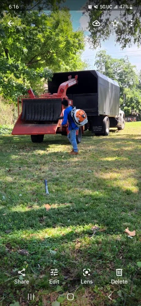 Top-rated landscaping services for beautiful yards in Raleigh, NC by Mr Mendez Tree Service