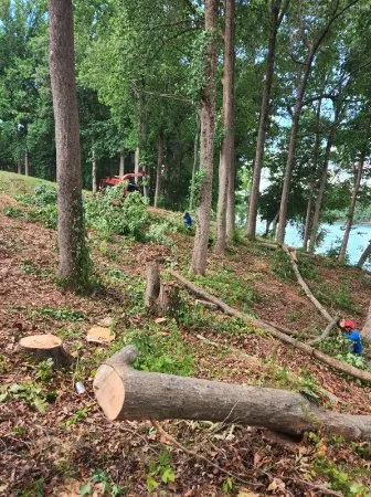 Custom outdoor landscaping experts serving Raleigh, NC - Mr Mendez Tree Service