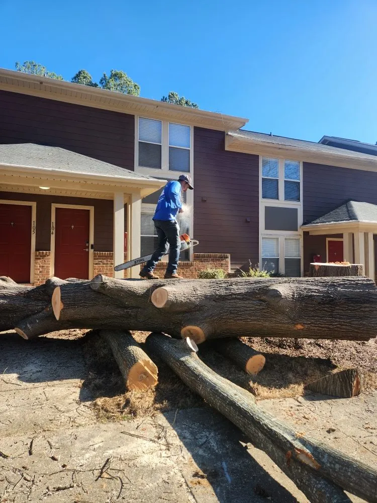 Reliable lawn mowing service in Raleigh, NC - Mr Mendez Tree Service