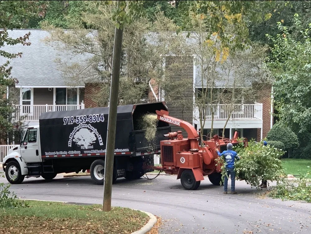 Trusted landscape installation for year-round maintenance in Raleigh, NC by Mr Mendez Tree Service