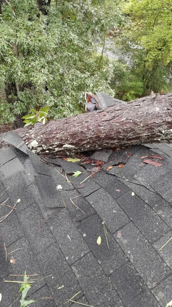 Custom lawn mowing service with custom design across Raleigh, NC - Mr Mendez Tree Service