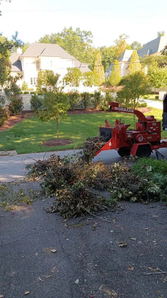 Local landscaping services experts serving Raleigh, NC - Mr Mendez Tree Service