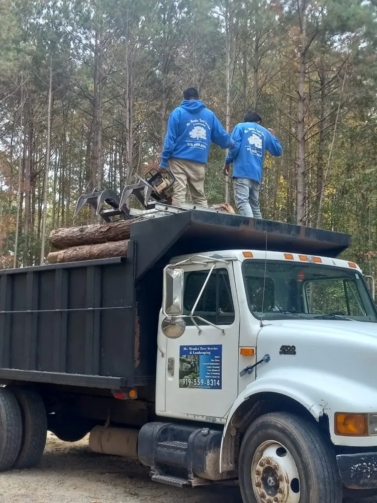 Reliable landscape installation in Raleigh, NC - Mr Mendez Tree Service
