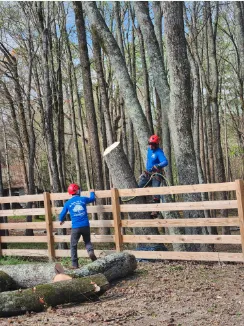 Top-rated landscape installation experts serving Raleigh, NC - Mr Mendez Tree Service