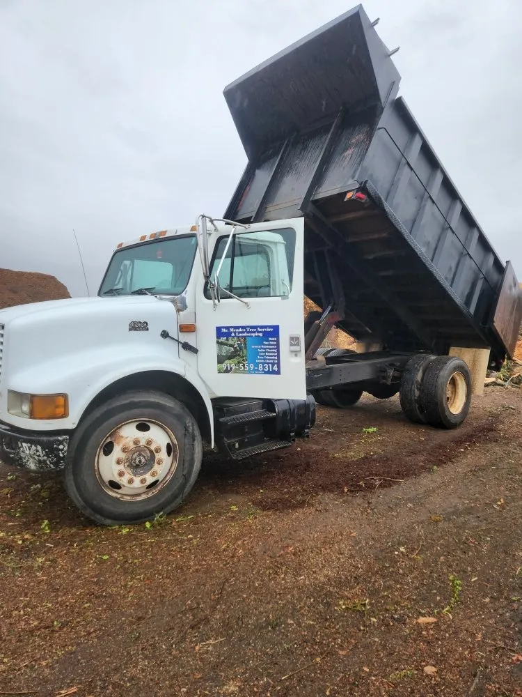 Reliable residential landscaping experts serving Raleigh, NC - Mr Mendez Tree Service