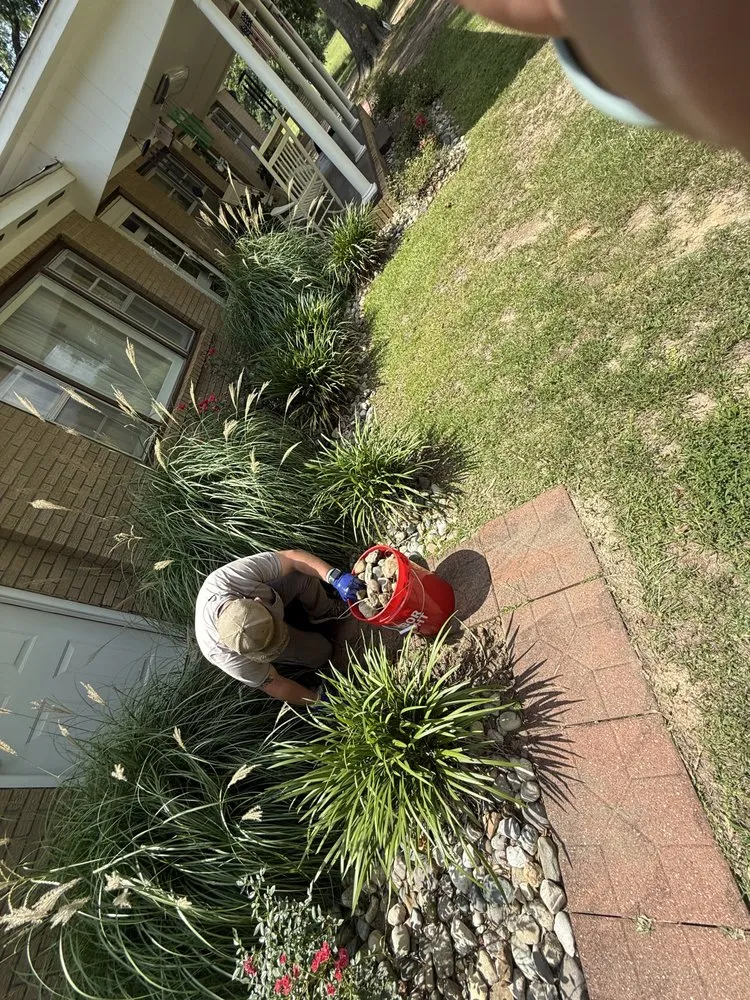 Trusted landscape installation in Collins, MS by Mr Mendit