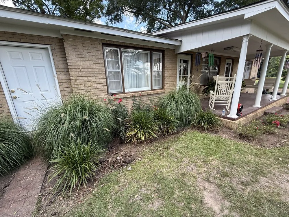 Affordable landscaping services for year-round maintenance across Collins, MS - Mr Mendit