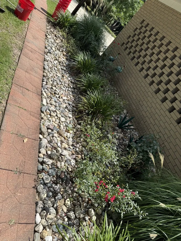 Expert landscape installation experts serving Collins, MS - Mr Mendit