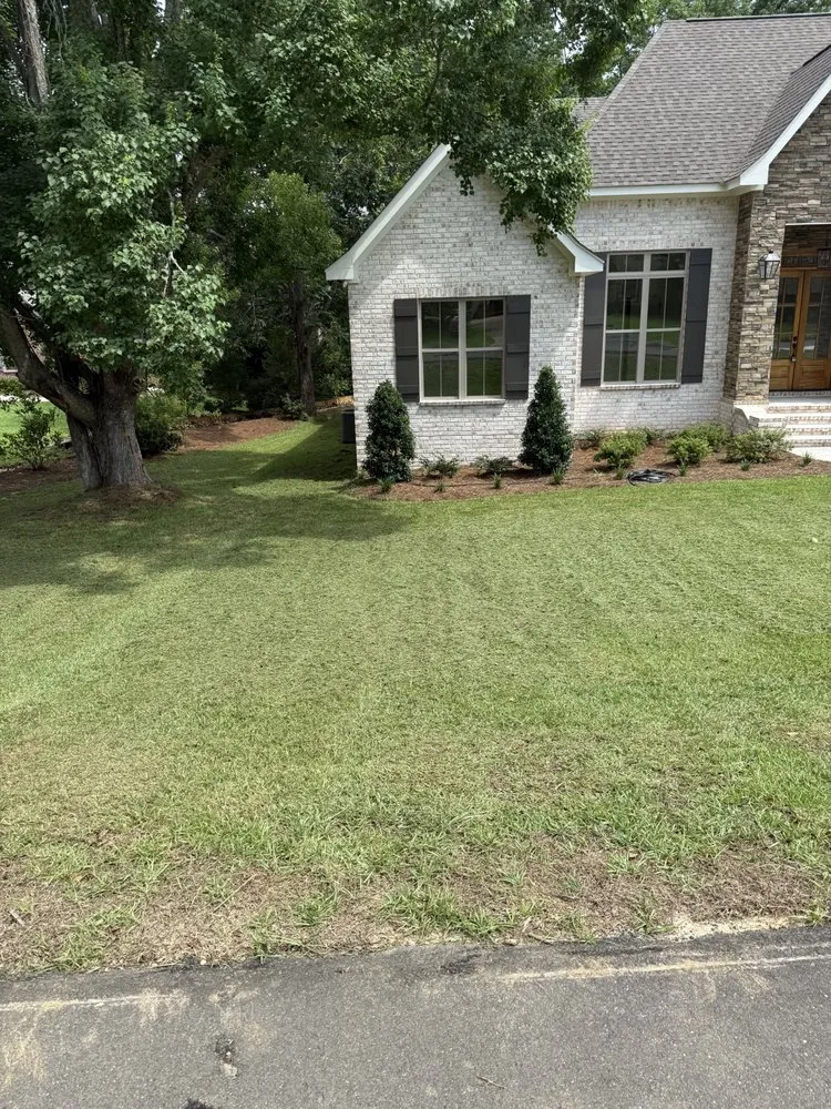 Top-rated lawn mowing service for homes across Collins, MS - Mr Mendit
