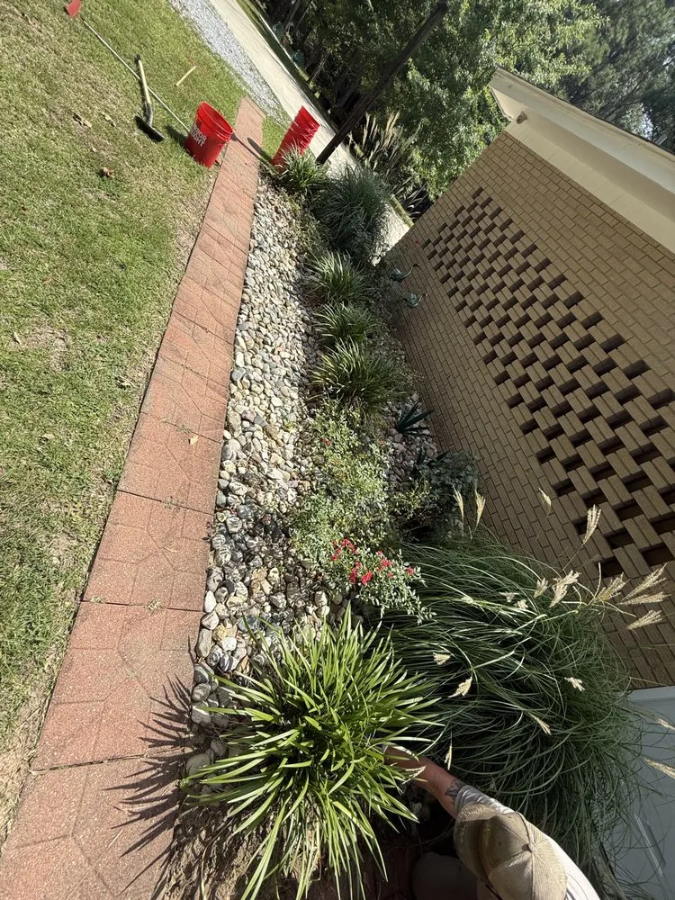 Top-rated garden landscaping in Collins, MS - Mr Mendit
