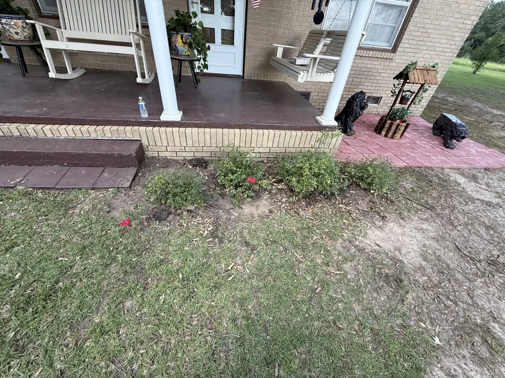 Trusted landscaping services in Collins, MS - Mr Mendit