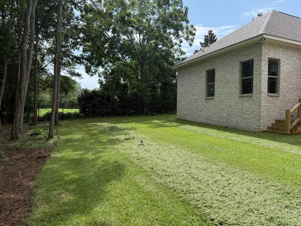 Trusted yard cleanup service near you across Collins, MS - Mr Mendit