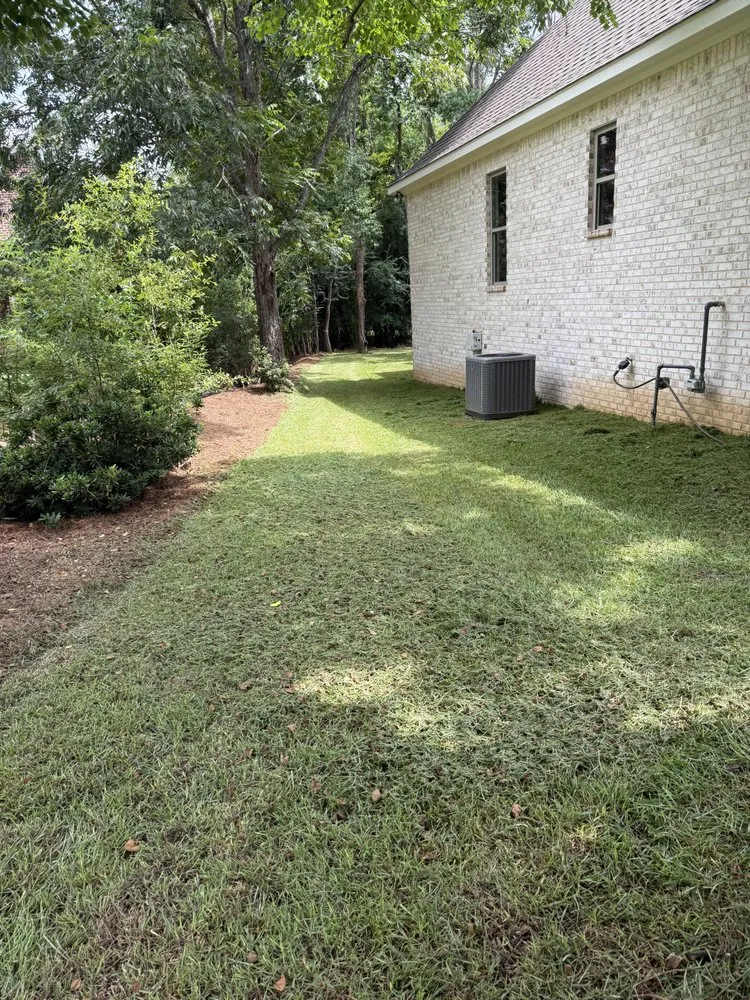 Top-rated garden landscaping for year-round maintenance in Collins, MS by Mr Mendit