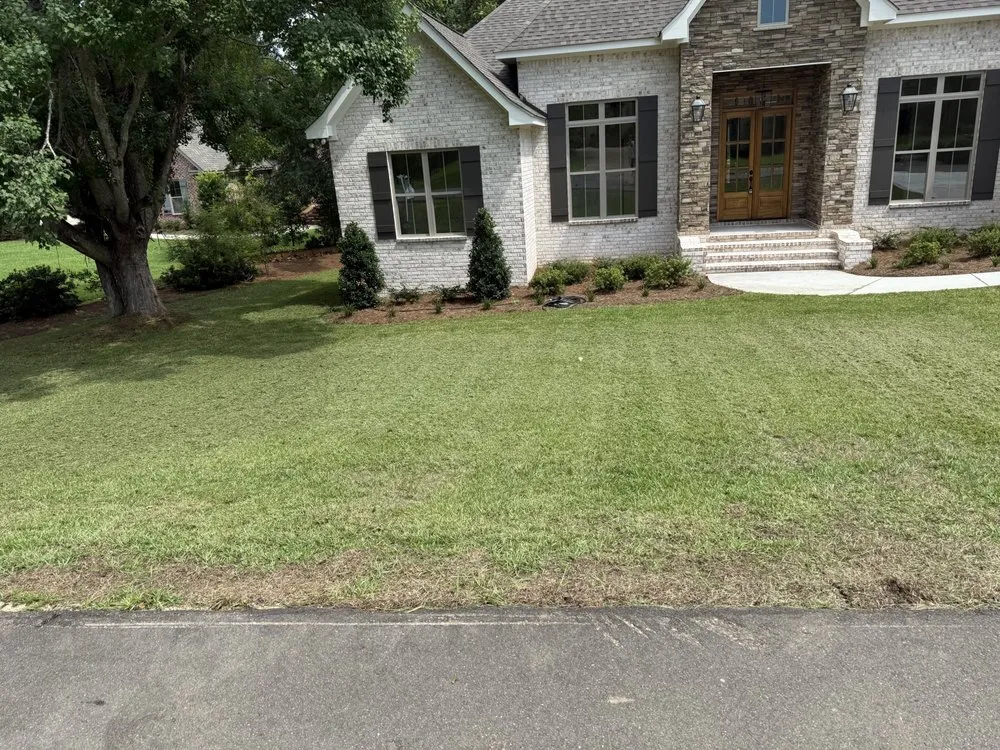 Local residential landscaping for outdoor upgrades across Collins, MS - Mr Mendit