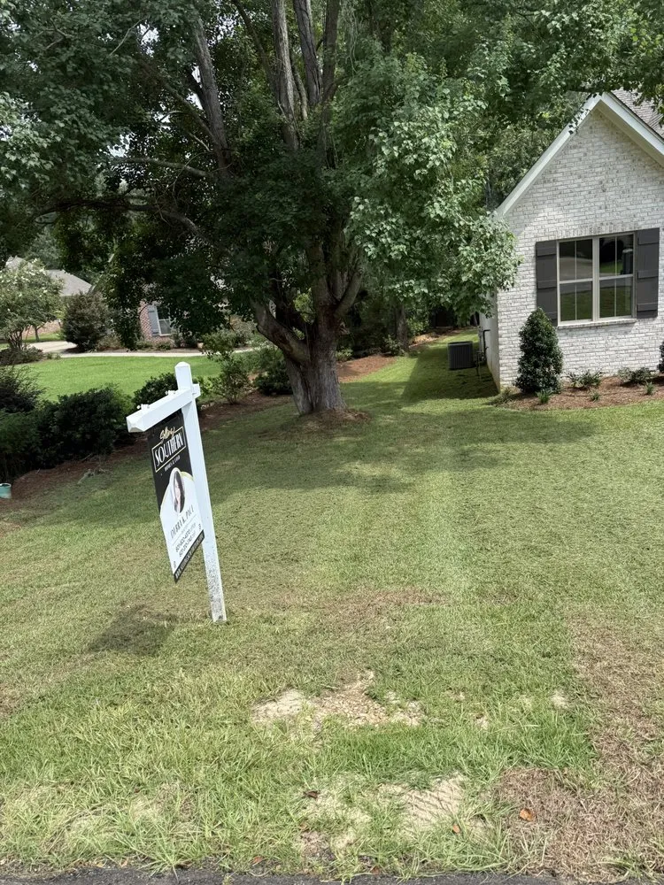 Local yard maintenance for residential properties across Collins, MS - Mr Mendit