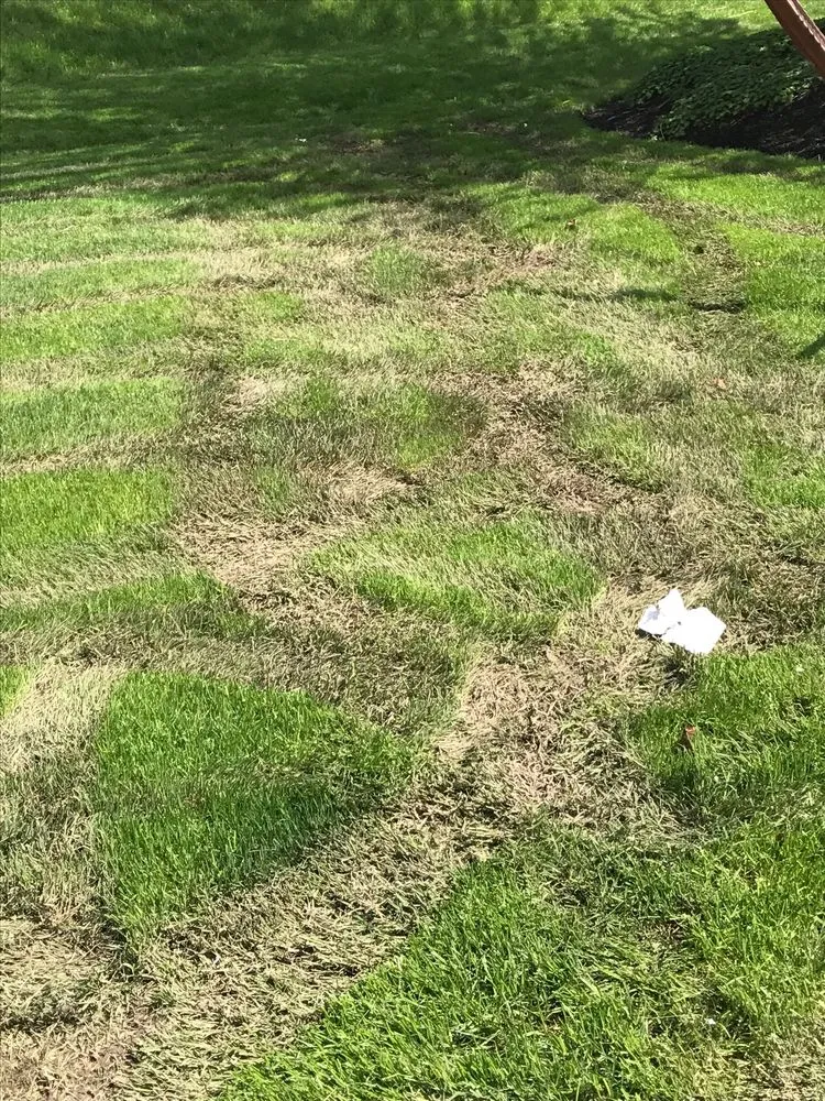 Reliable landscape installation in Lockport, NY by Mr Meticulous Landscape & Design