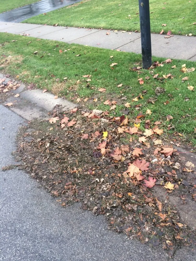 Local landscaping services for beautiful yards across Lockport, NY - Mr Meticulous Landscape & Design