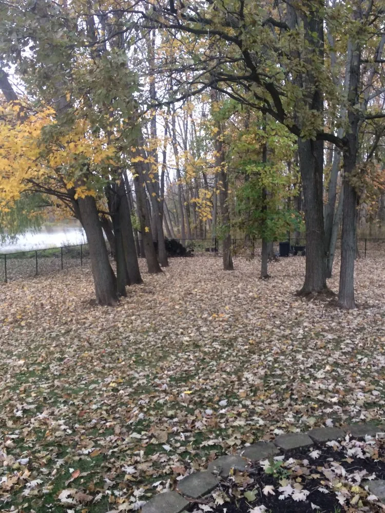 Top-rated landscaping services with custom design across Lockport, NY - Mr Meticulous Landscape & Design