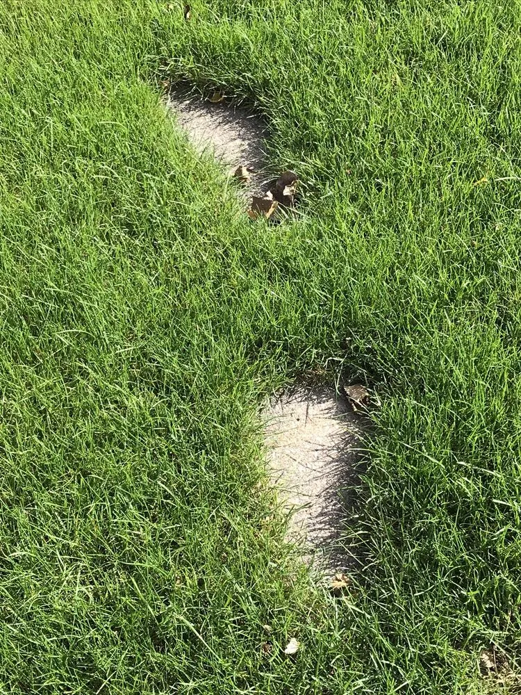 Professional outdoor landscaping experts serving Lockport, NY - Mr Meticulous Landscape & Design