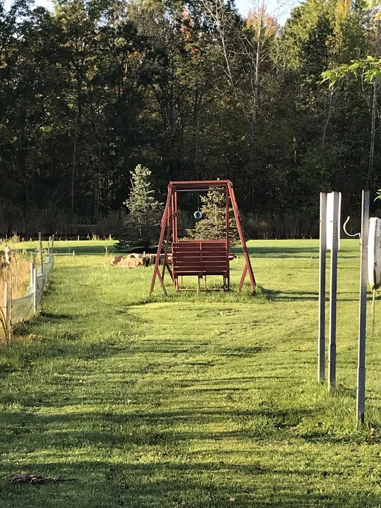 Top-rated lawn care service in Lockport, NY by Mr Meticulous Landscape & Design