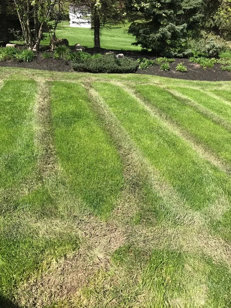 Trusted lawn mowing service for beautiful yards across Lockport, NY - Mr Meticulous Landscape & Design