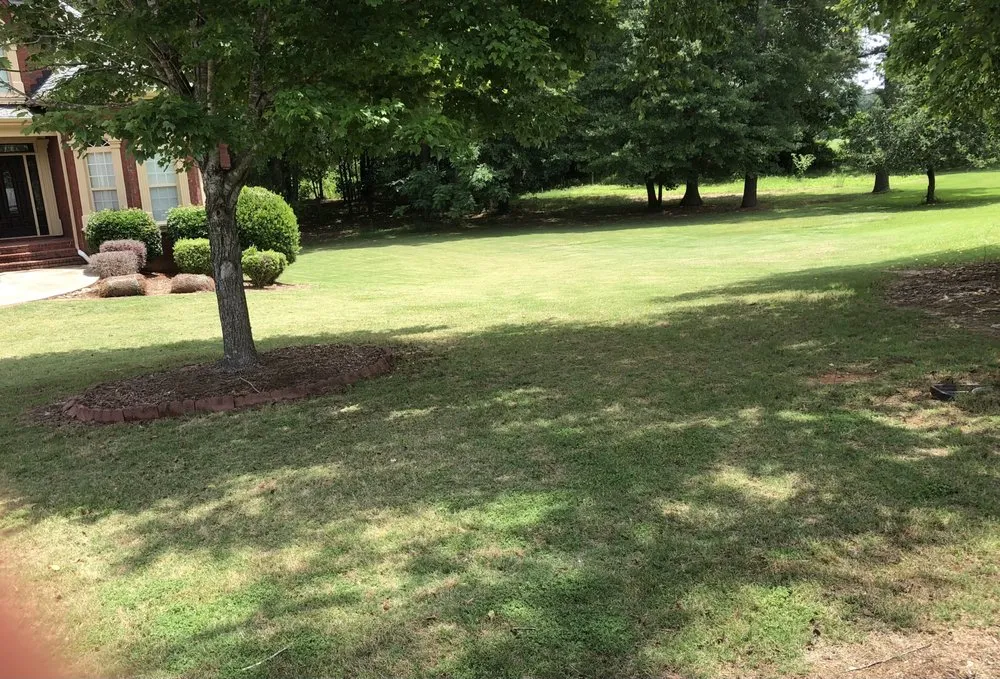 Affordable yard cleanup service experts serving Loganville, GA - Mr Mikes’ Lawn Care Services