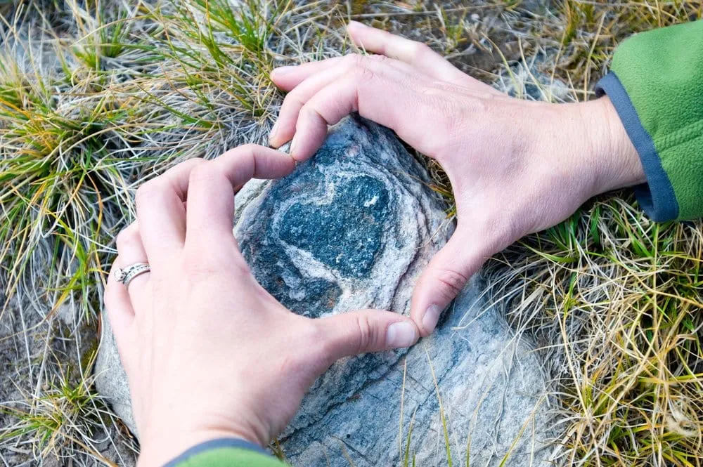 Top-rated landscape installation in Loganville, GA - Mr Mikes’ Lawn Care Services