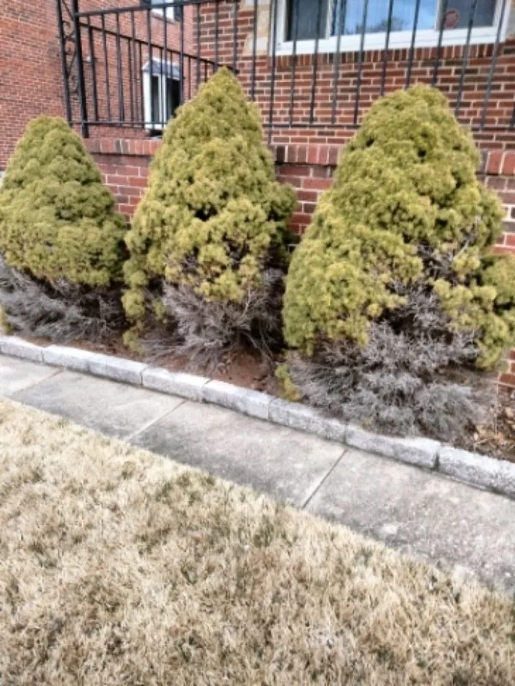 Trusted garden landscaping with custom design in Parkville, MD by Mr Milton Landscaping