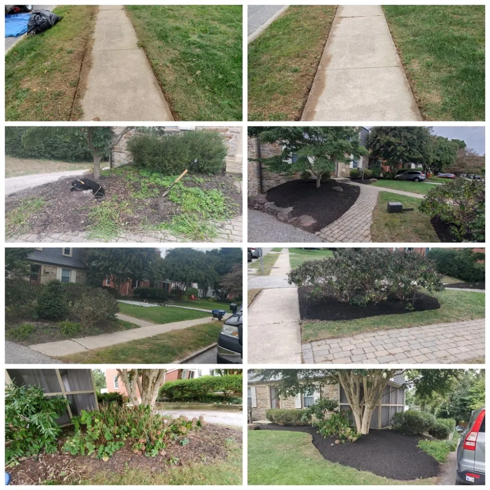 Custom residential landscaping in Parkville, MD by Mr Milton Landscaping