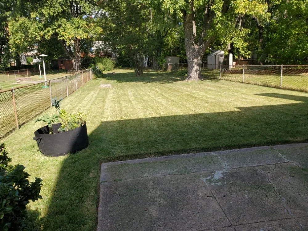 Local lawn care service for homes in Parkville, MD by Mr Milton Landscaping