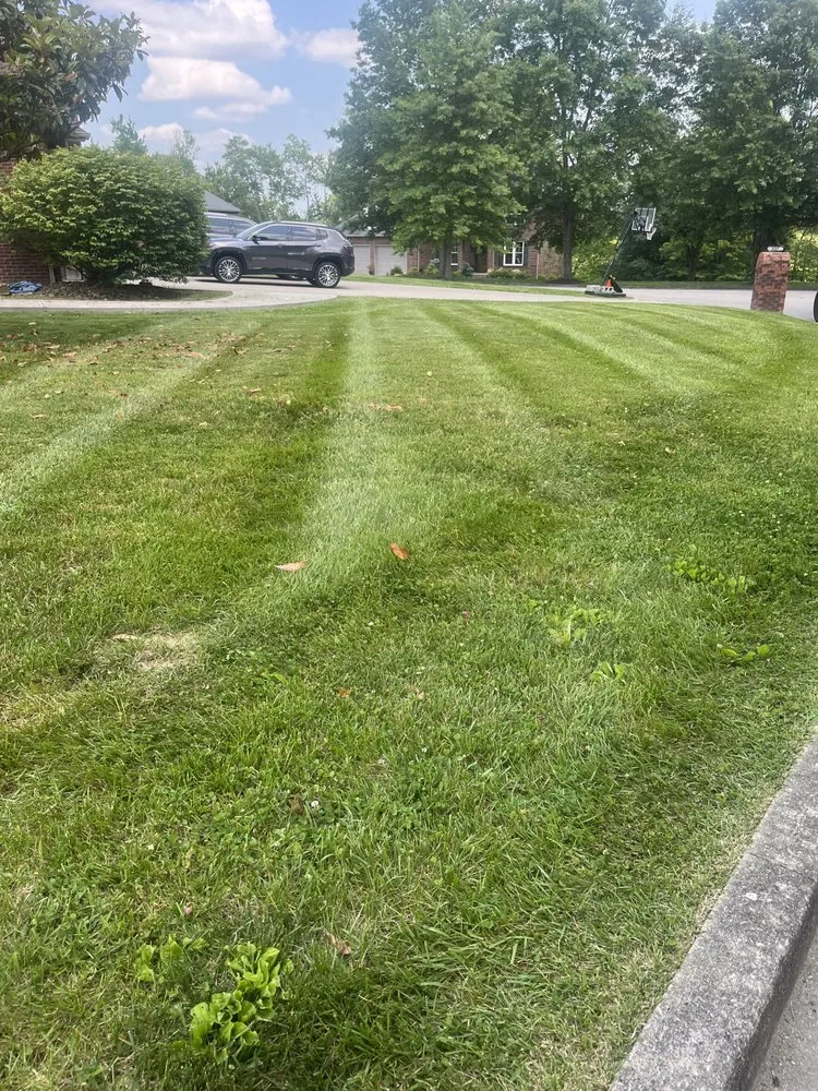 Reliable lawn mowing service experts serving Corbin, KY - Mr Mow It All