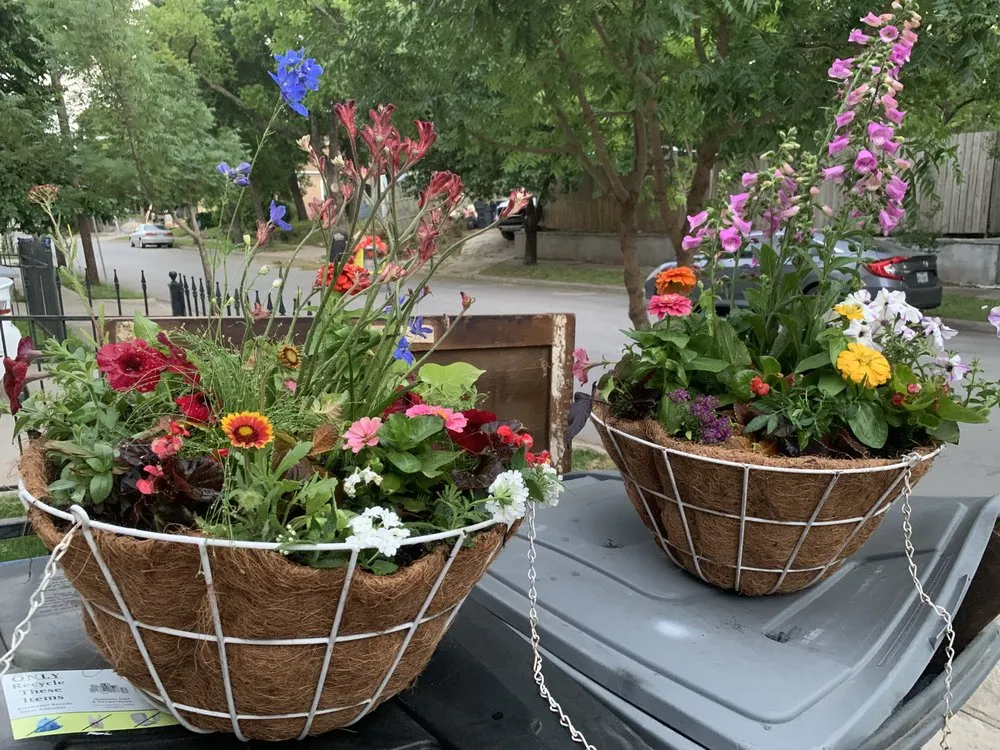 Local landscaping services with custom design across Dallas, TX - Mr. Mow It All