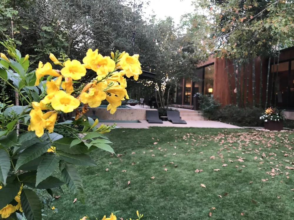 Professional yard maintenance in Dallas, TX - Mr. Mow It All