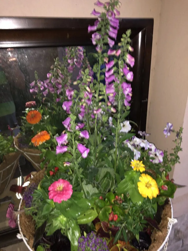 Local landscape installation in Dallas, TX by Mr. Mow It All