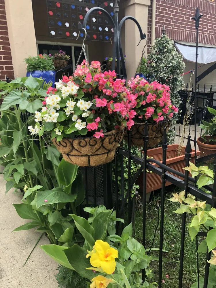 Custom yard maintenance experts serving Dallas, TX - Mr. Mow It All