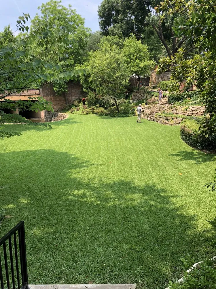 Custom yard cleanup service experts serving Dallas, TX - Mr. Mow It All