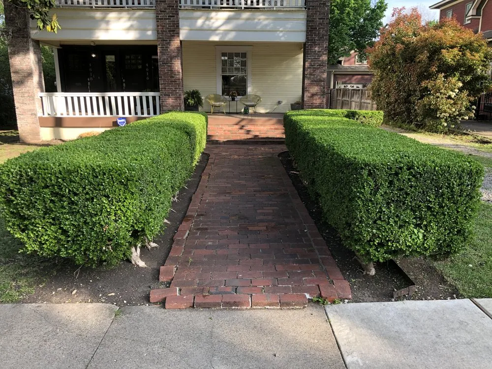 Professional yard maintenance in Dallas, TX - Mr. Mow It All