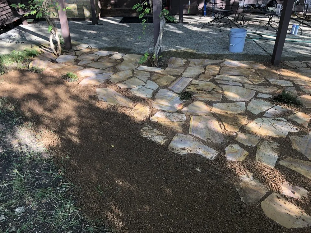 Trusted yard cleanup service in Dallas, TX - Mr. Mow It All