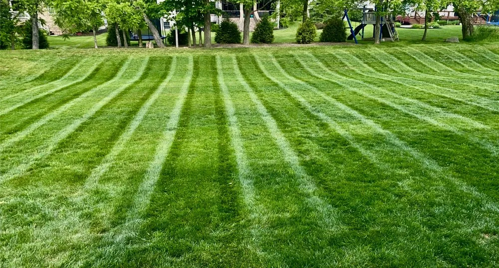 Local yard cleanup service experts serving Muncie, IN - Mr Mow-It-All