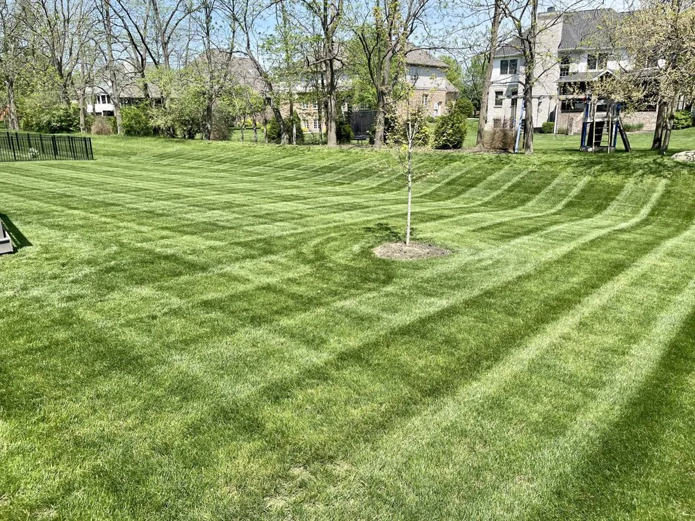 Expert yard maintenance for homes in Muncie, IN by Mr Mow-It-All