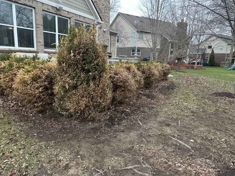 Top-rated outdoor landscaping for residential properties across Muncie, IN - Mr Mow-It-All